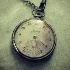 Image posted by the member
