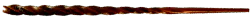 Image posted by the member