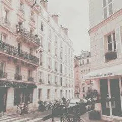 Image posted by the member