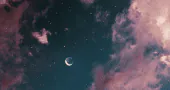 Image posted by the member