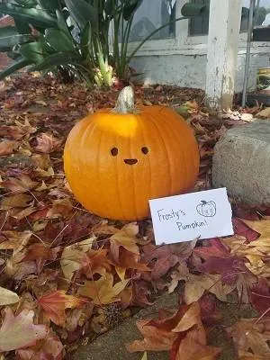 Image posted by the member