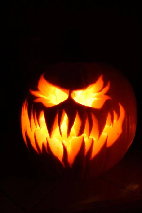 Image posted by the member