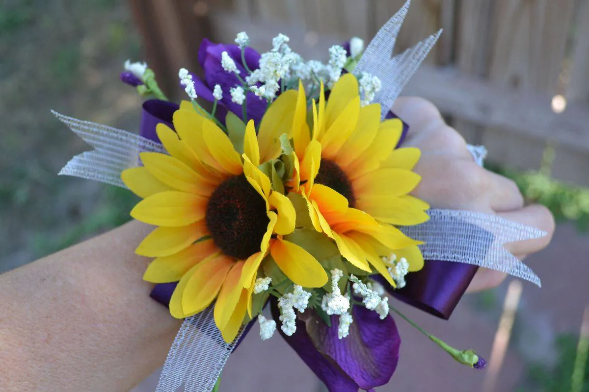 Image posted by the member