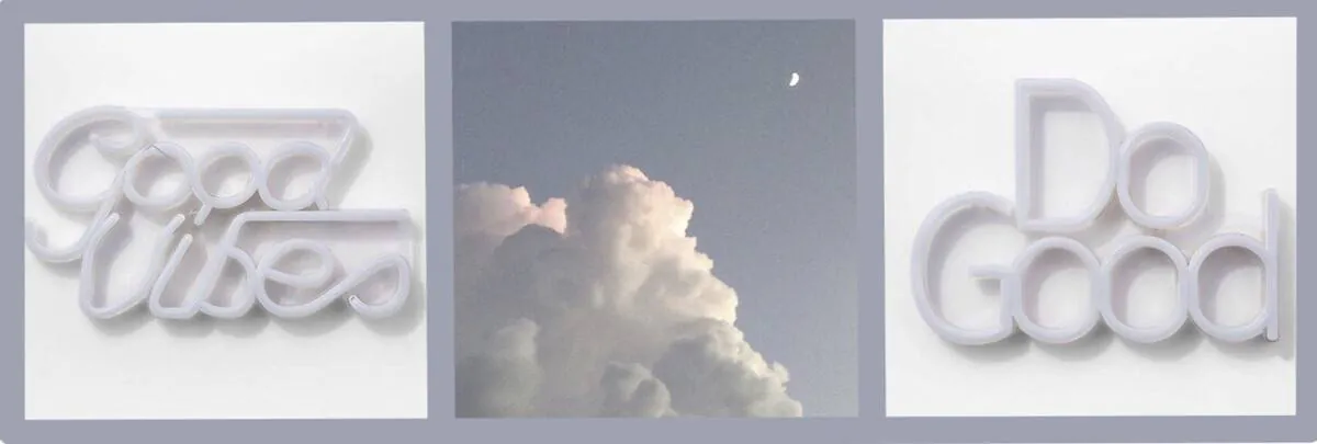 Image posted by the member