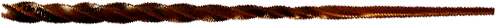Image posted by the member
