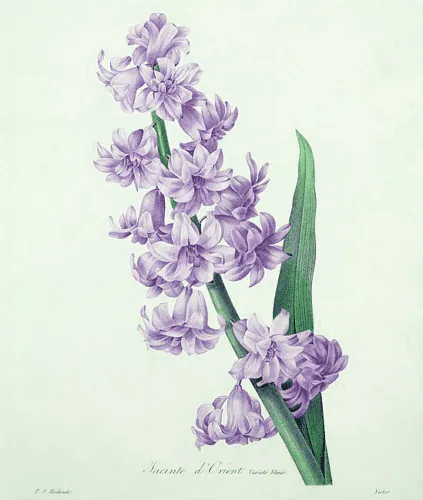 Image posted by the member