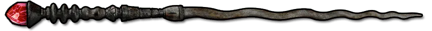 Image posted by the member
