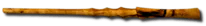 Image posted by the member