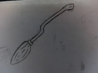 Image posted by the member