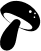 Image posted by the member