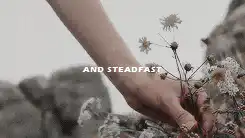 Image posted by the member