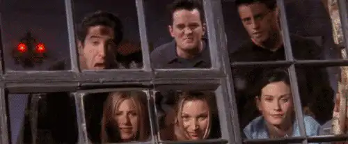 Image posted by the member
