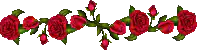 Image posted by the member