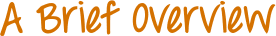 Image posted by the member