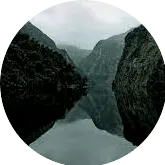 Image posted by the member