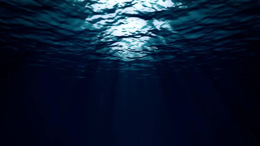 Image posted by the member