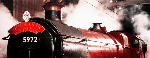 Image posted by the member