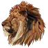 Image posted by the member