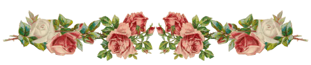 Image posted by the member