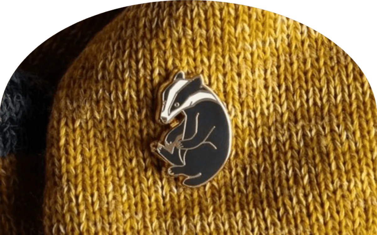 Image posted by the member