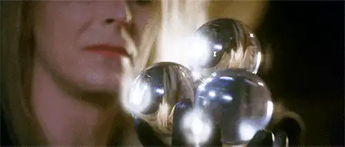 Image posted by the member