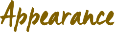 Image posted by the member