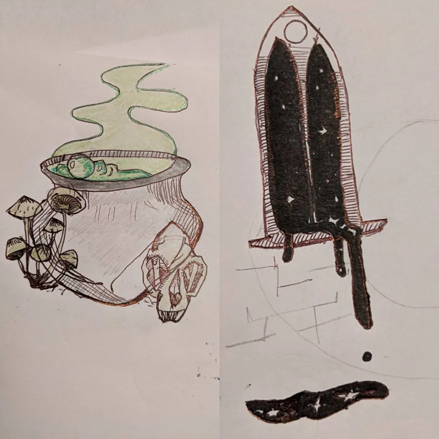 Image posted by the member