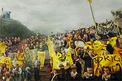 Image posted by the member