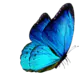 Image posted by the member