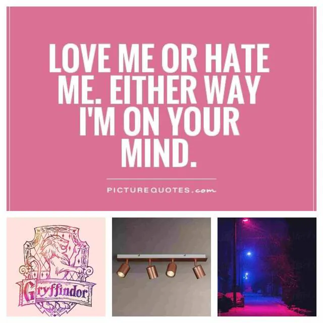 Image posted by the member