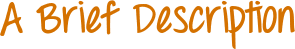 Image posted by the member