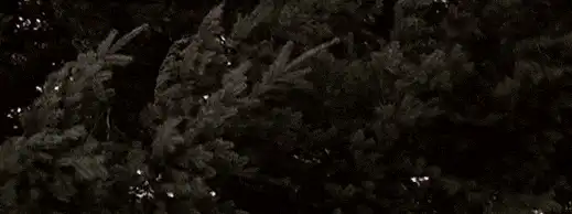 Image posted by the member