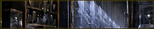 Image posted by the member