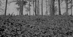 Image posted by the member