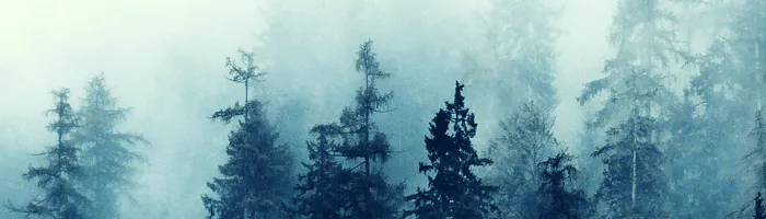 Image posted by the member