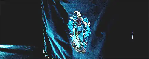 Image posted by the member