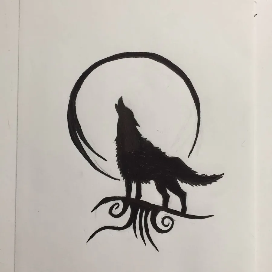 Image posted by the member