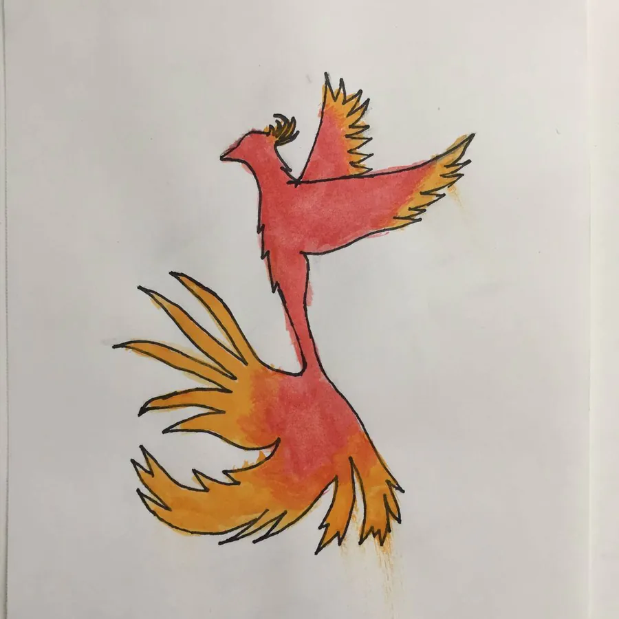 Image posted by the member