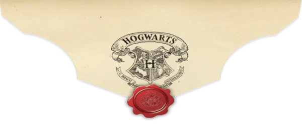 Image posted by the member