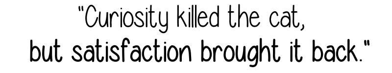 Image posted by the member