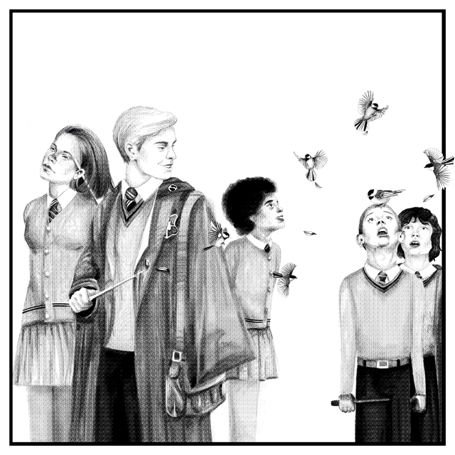 Image posted by the member