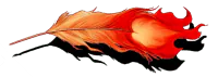 Image posted by the member