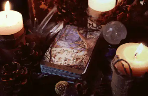 Image posted by the member