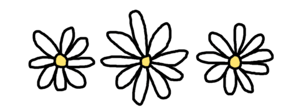 Image posted by the member