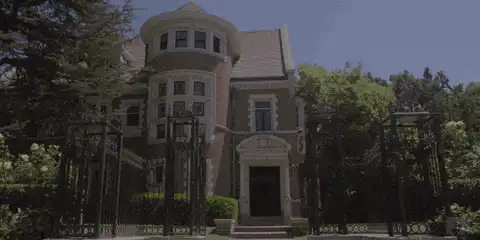 Image posted by the member