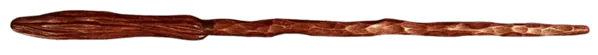Image posted by the member