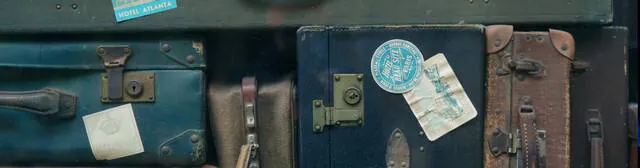Image posted by the member