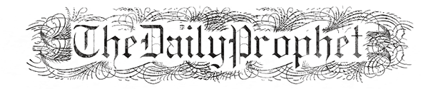 Image posted by the member
