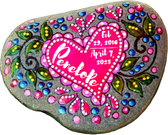 Image posted by the member