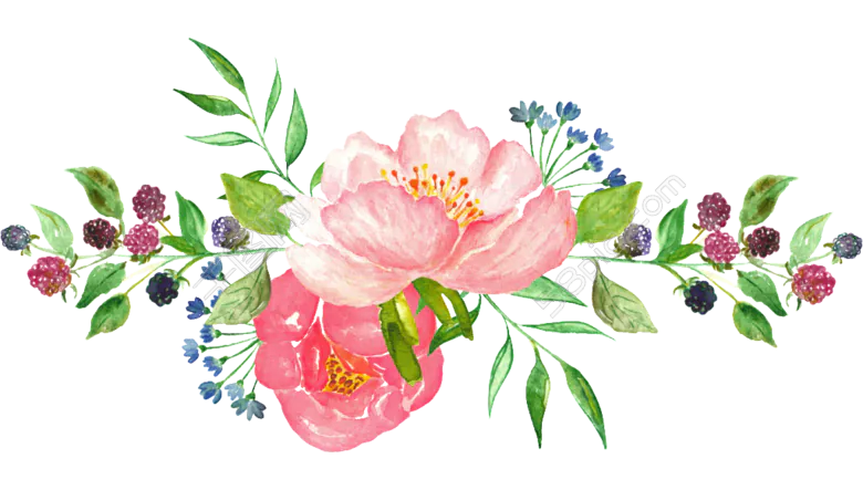 Image posted by the member